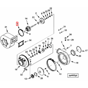 4034097 Image1