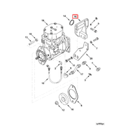 3924874 Image1