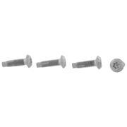 Door Check Bolt