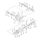 Figure 1696784C91