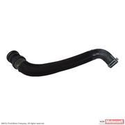Radiator Coolant Hose - 5.4L