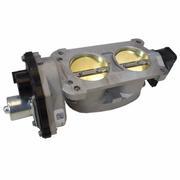 Fuel Injection Throttle Body and MOTO - 4.6L