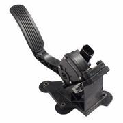All Models Includes Accelerator Pedal - 4.6L
