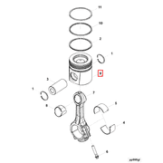 3972884 Image1