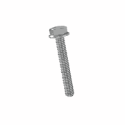 Hex Head Flanged EGR Screw