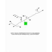 Figure 13Y1H