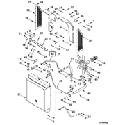3170216 Image1