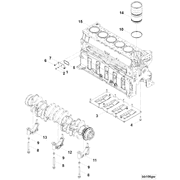 4955501 Image1