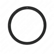 Seal Ring