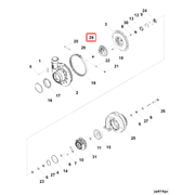 3785882 Image1