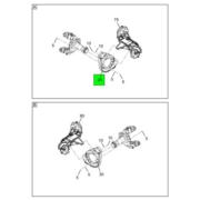 Figure 1NKNS