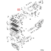 4323789 Image1
