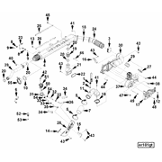 3684489 Image1