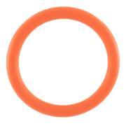 Sealing Ring - Rear 21, 23