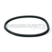 SEAL-REAR CORNER WINDOW BLK