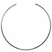 Snap ring (AT)