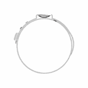 Hose Clamp