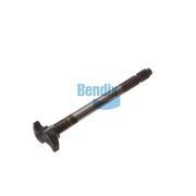 Camshaft
