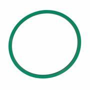 Fuel Pump Gasket (Lincoln LS)