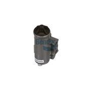 Governor Valve