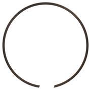 Snap ring - 2.0 MM (AT)