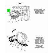 Figure 1JRHH