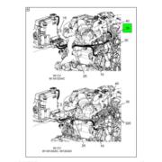 Figure 1DQ9L