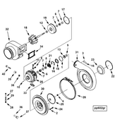 4955689 Image1