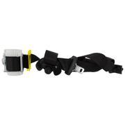 Seat Belt Lap and Shoulder - Right, Rear