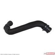 Radiator Coolant Hose