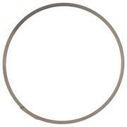 Snap ring (AT)