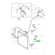 HOSE,RADIATOR,LWR 1