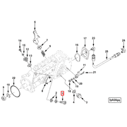 3921142 Image1