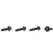 Door Window Glass Surround Channel Bolt