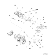 5394196 Image1