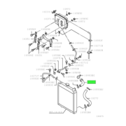 HOSE,RADIATOR,UPR 1