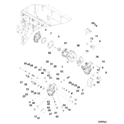 4307242 Image1
