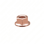 Hexagon Nut M6