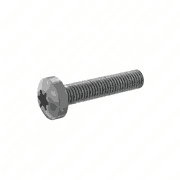 Screw
