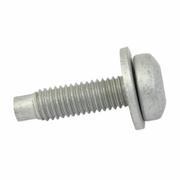 Fuel Pump Driver Module Bolt - M8 X 25MM, 2.3L