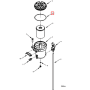 3945135 Image1