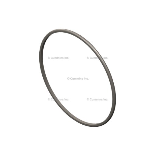 5410113 | Cummins® | D Ring Seal | Source One Parts Center