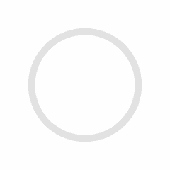 Sealing Ring Kit (Quantity of 4)