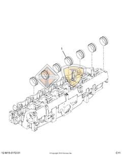 3007205C1 Image 1