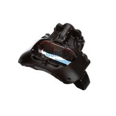 Caliper with Carrier