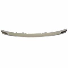 Grille Molding - Front