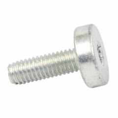 Door Mirror Screw