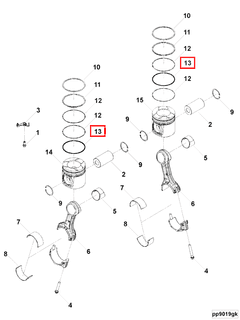 3695511 Image1