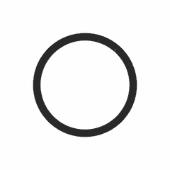Yoke O-Ring