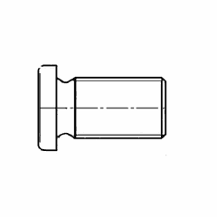 Pipe Plug Screw